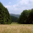 Sauerland-Idyll II