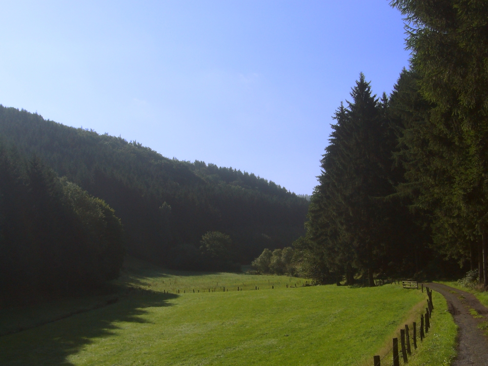 Sauerland-Idyll III