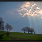 Sauerland im April