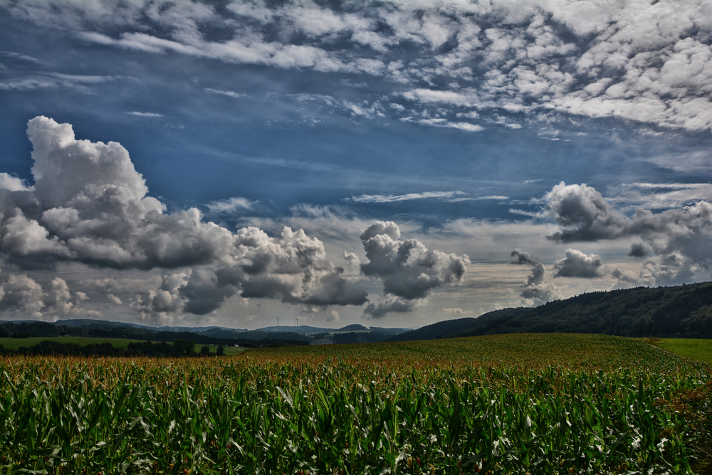 Sauerland im August 1