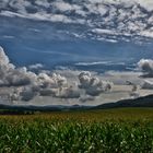 Sauerland im August 1