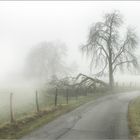 Sauerland im Herbst 2013