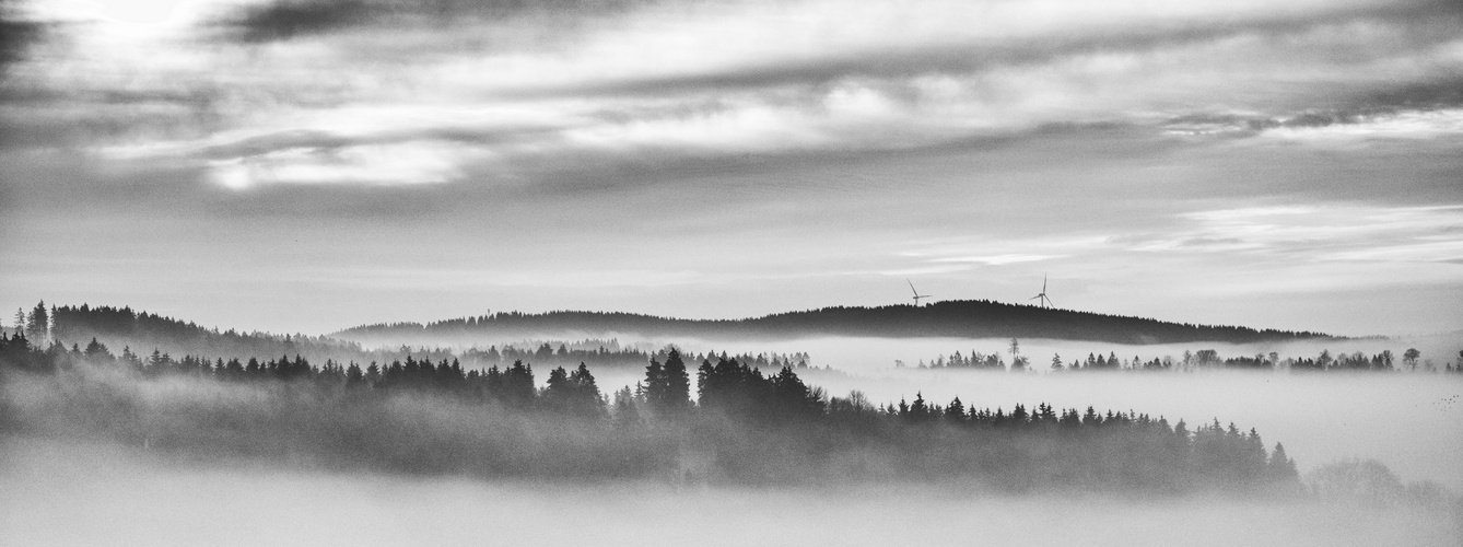 Sauerland im Nebel