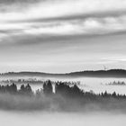 Sauerland im Nebel