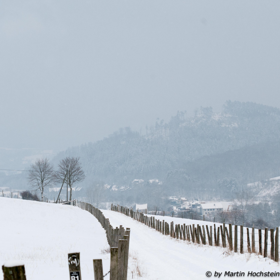 Sauerland im Winter I