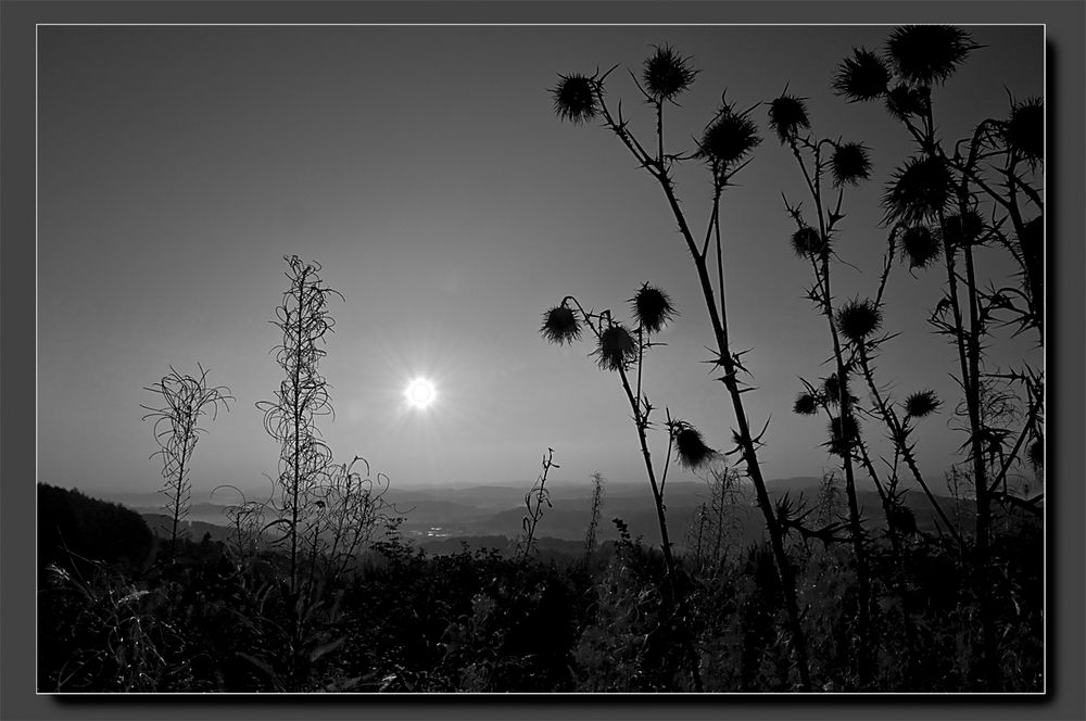 Sauerland monochrome