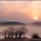 sauerland-morgen