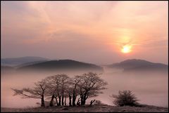 sauerland morgen...