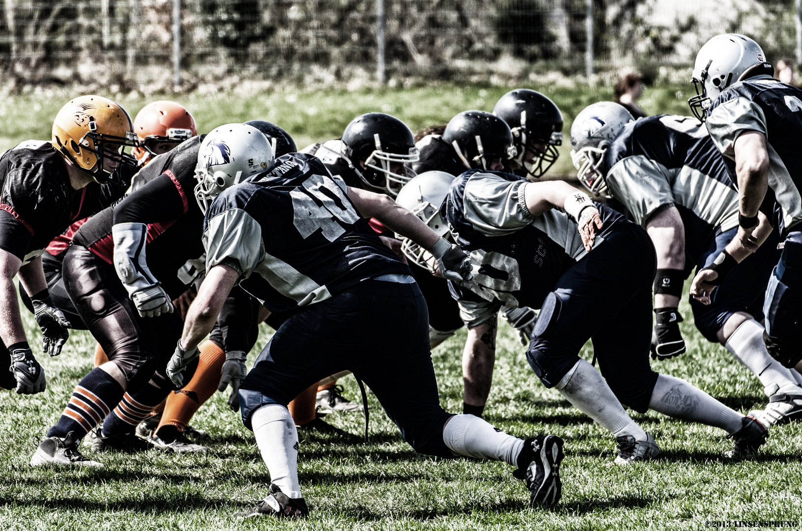 Sauerland Mustangs vs. Wipperfürth Phoenix