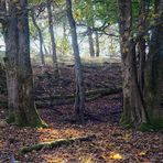 Sauerland Pastorale