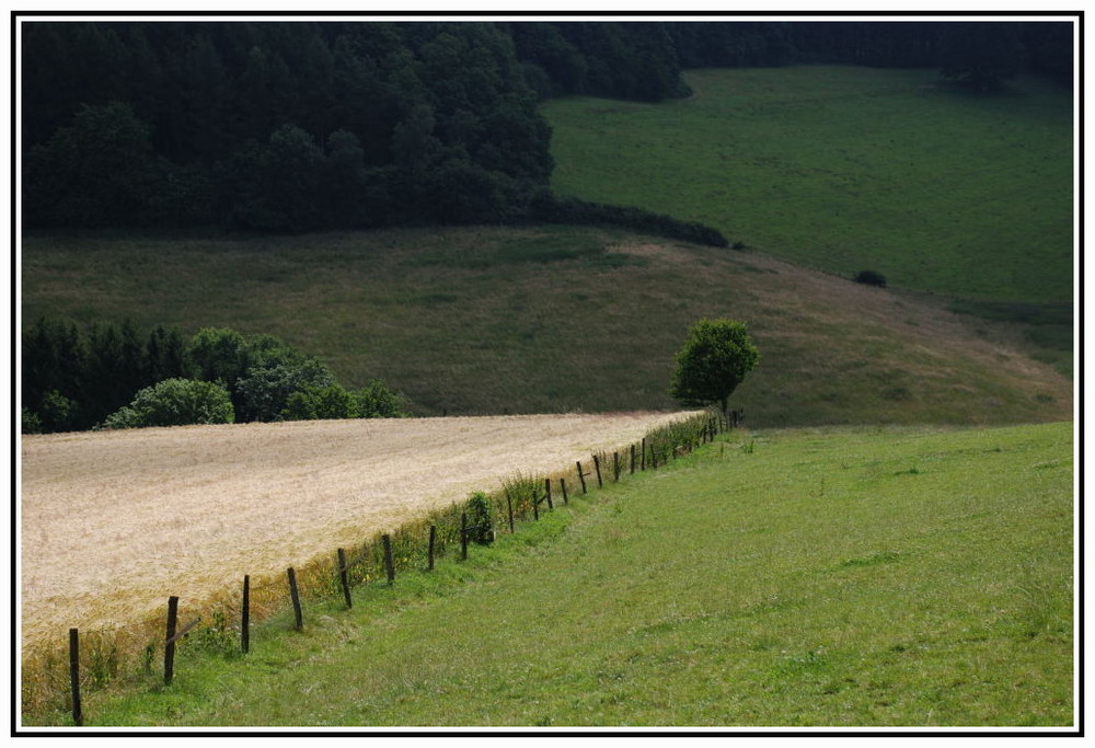 Sauerland pur