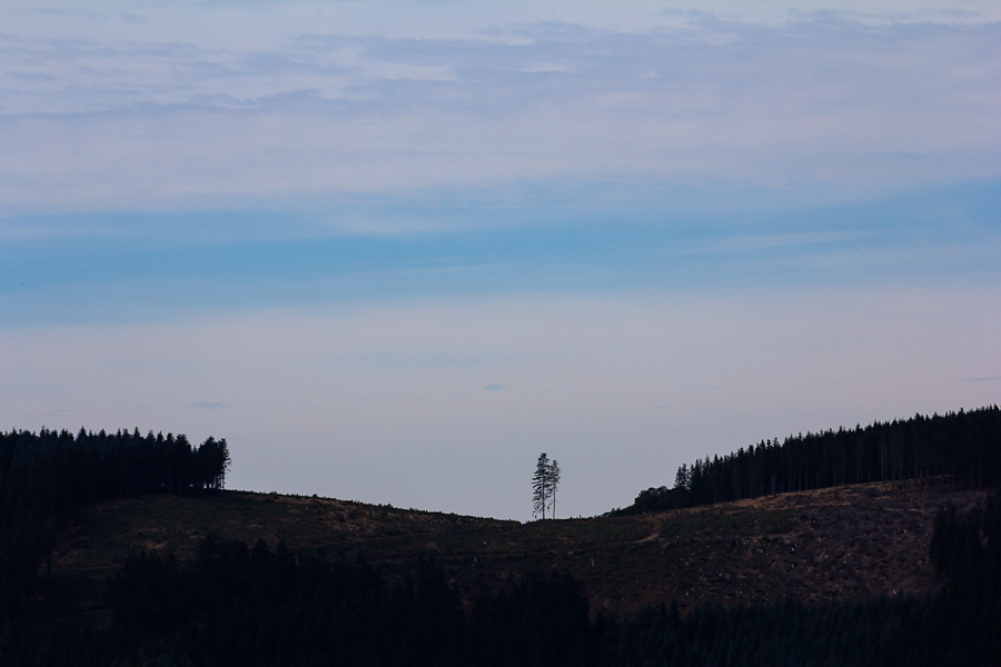 Sauerland-Silhouette 2