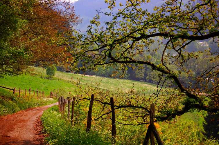 Sauerland "Valmetal"