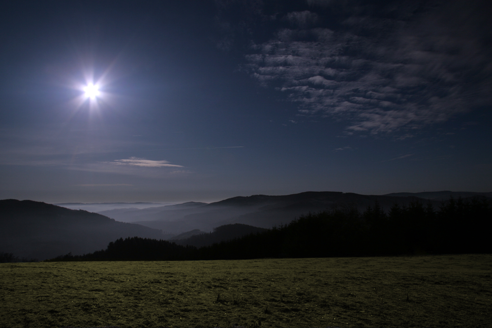 Sauerland ... Wilde Wiese...