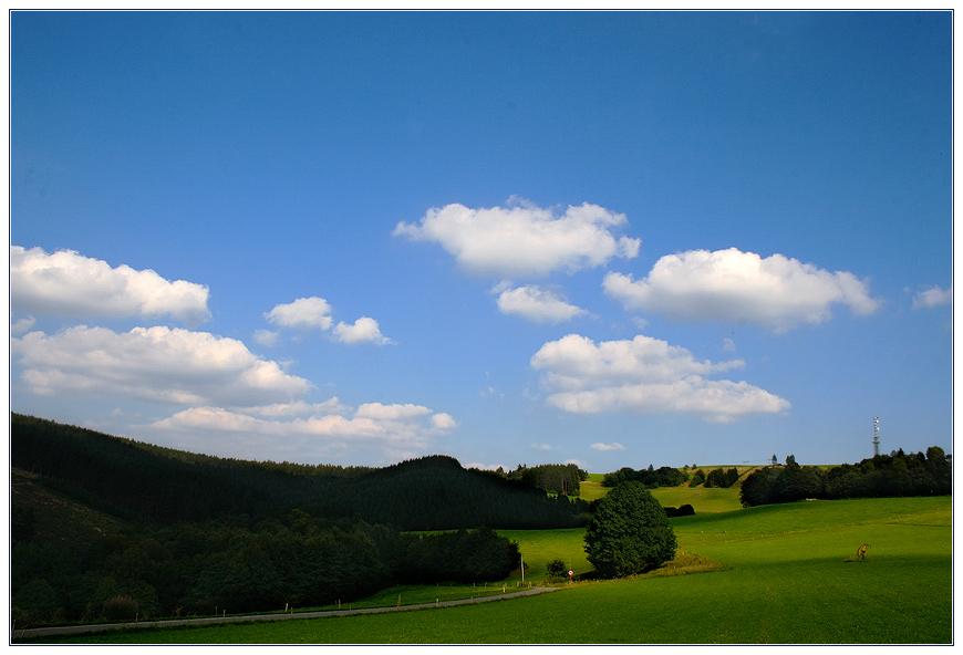 Sauerland - Wildewiese - 12.08.07 gegen 19.00 Uhr