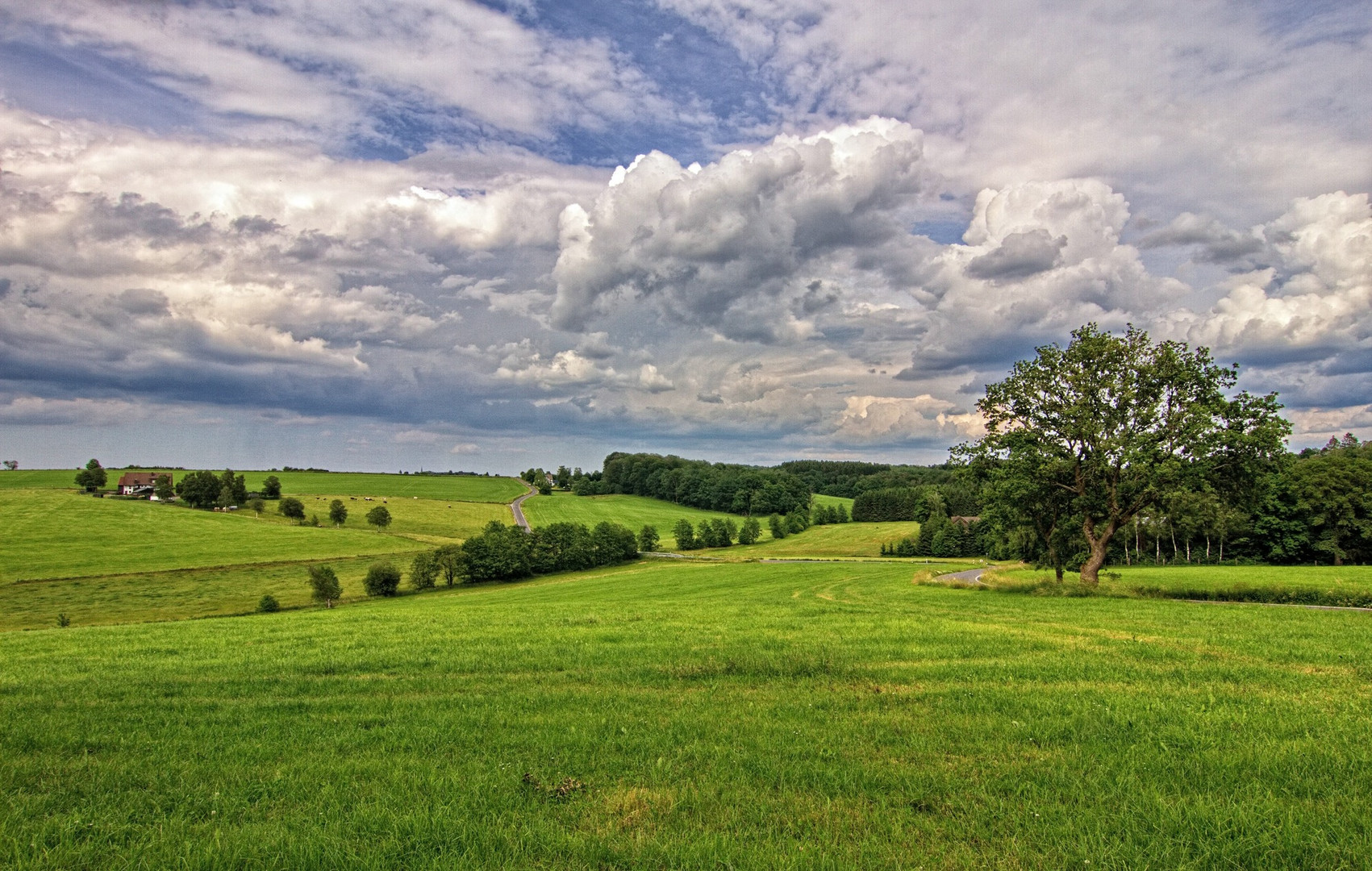 Sauerlandblick