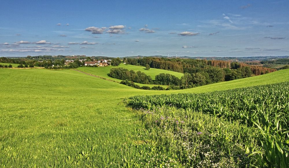 Sauerlandblick II