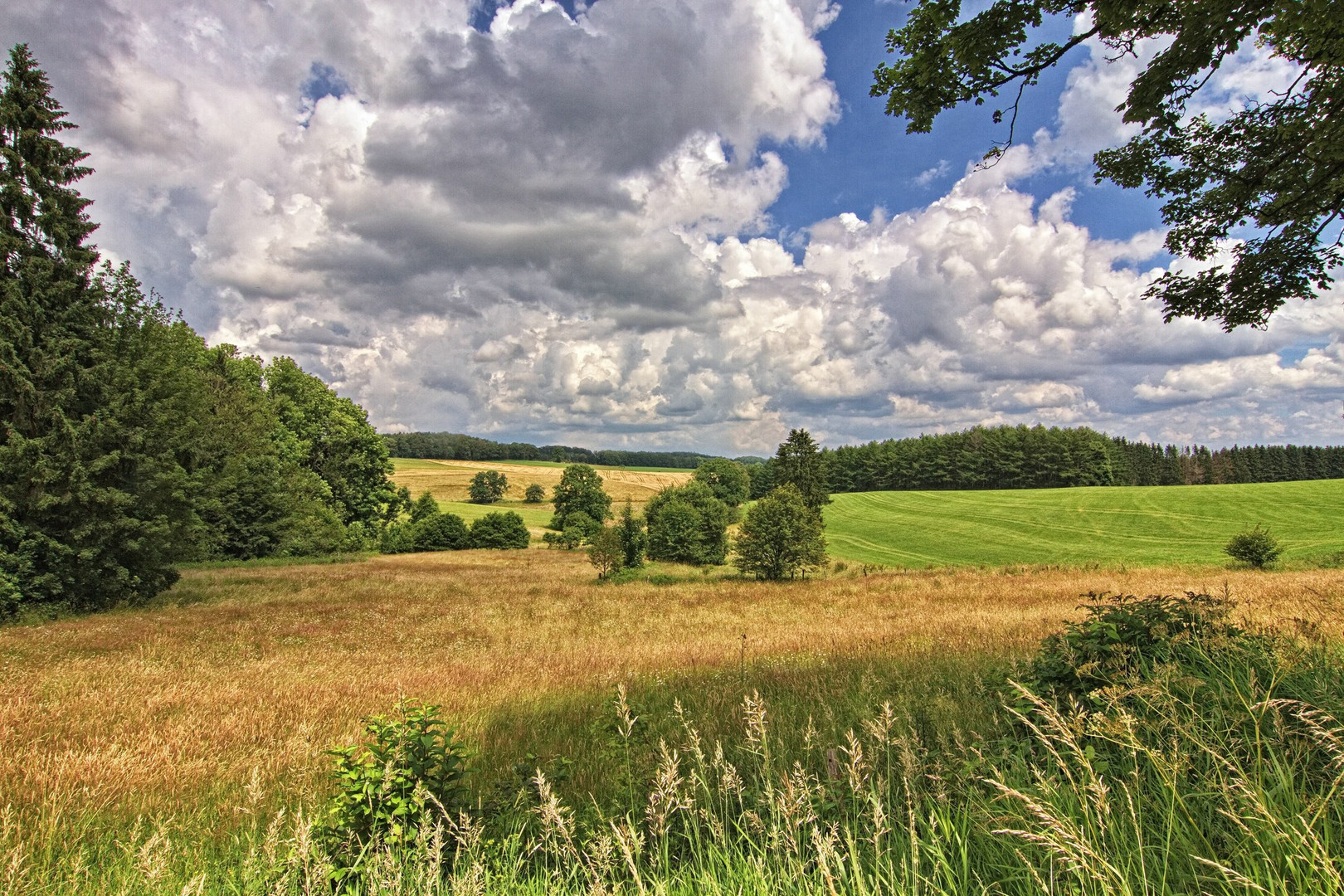 Sauerlandblick III