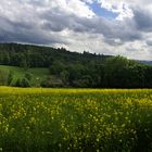 ..... Sauerland....mein Herz schlägt für.....