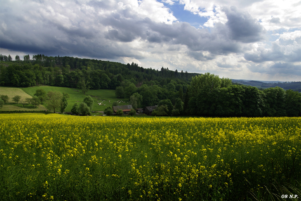 ..... Sauerland....mein Herz schlägt für.....