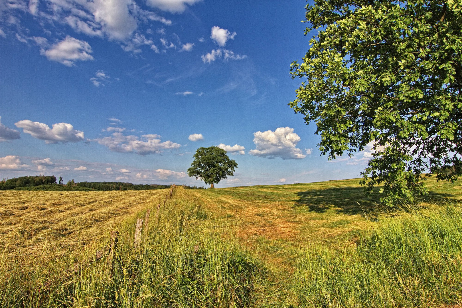 Sauerlandschaft III