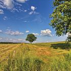 Sauerlandschaft III