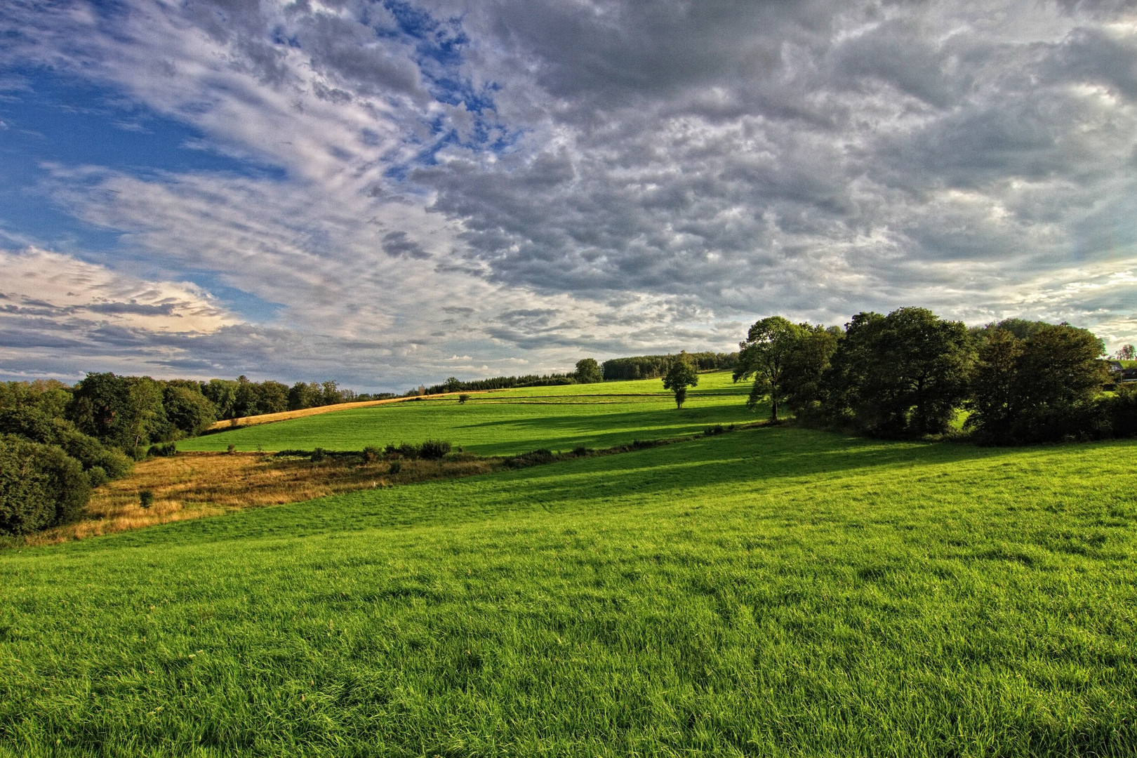 Sauerlandschaft IV