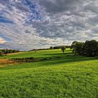 Sauerlandschaft IV