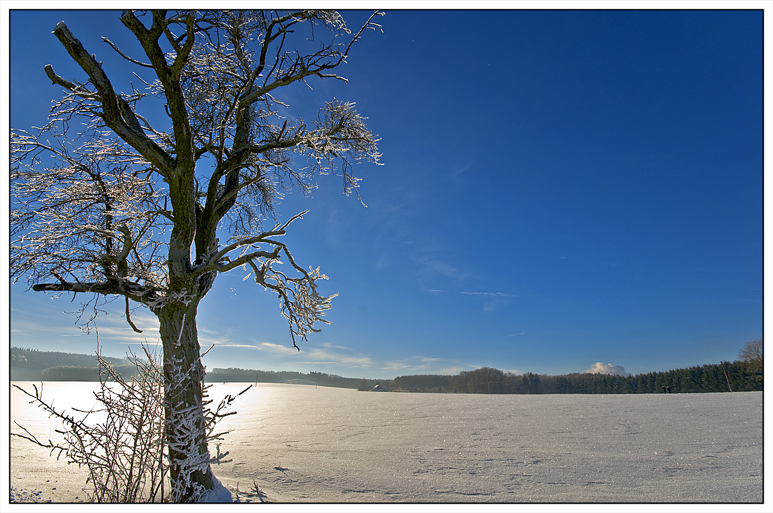 Sauerlandwinter