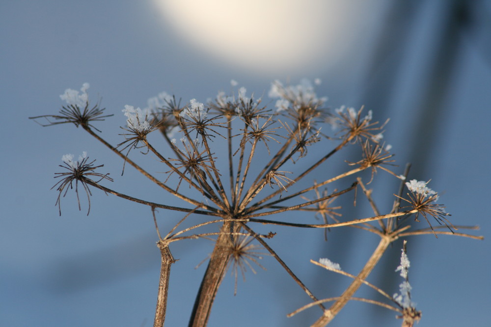 Sauerlandwinterstimmung