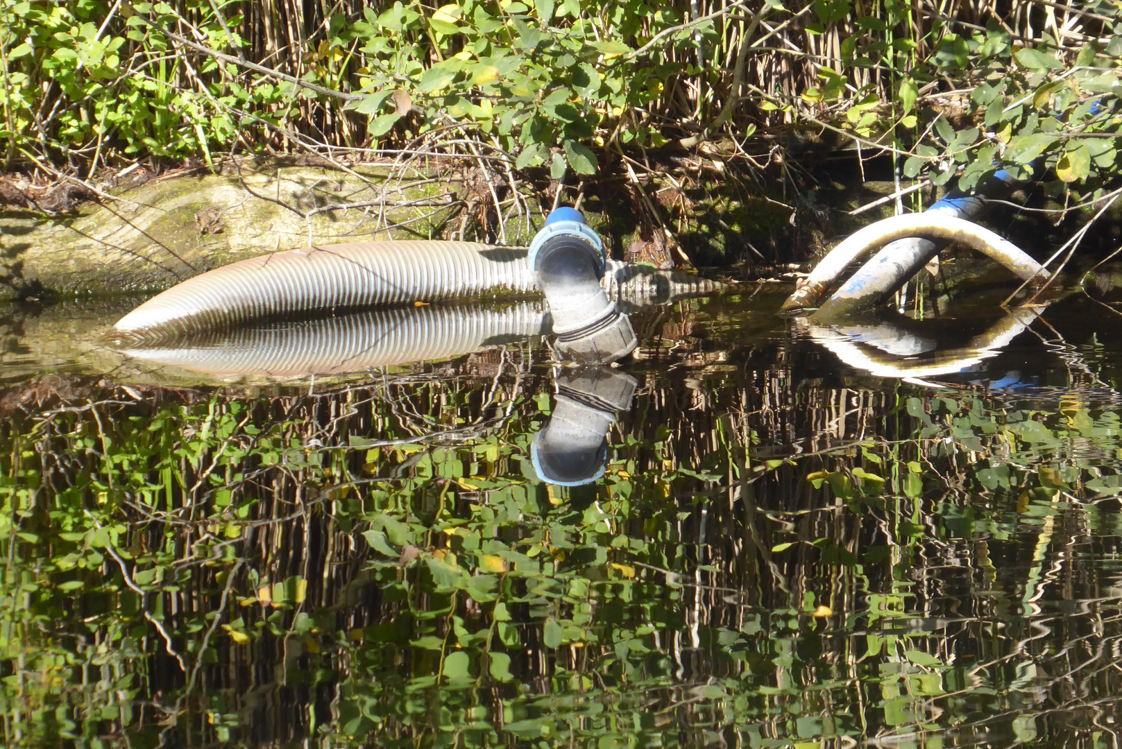 Sauerstoffzufuhr???? Foto & Bild reportage dokumentation, landschaft
