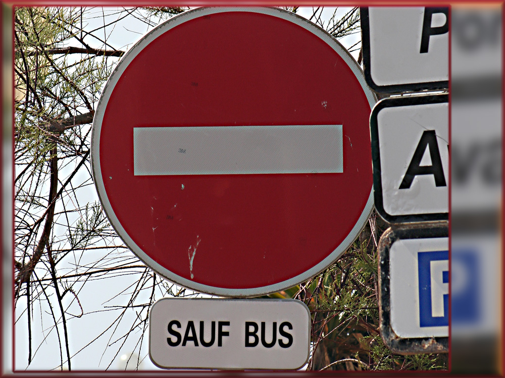 Sauf - Bus