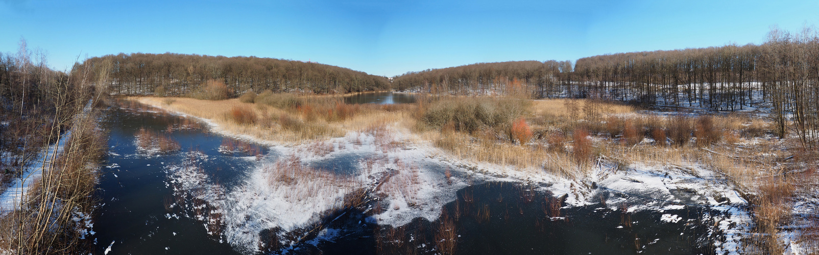 Saufangweiher