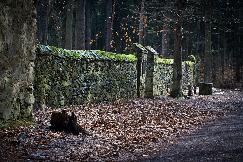 Saugarten Langebrück