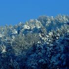 Saukalt aber blauer Himmel