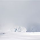 Saukalt im Raudfjord..