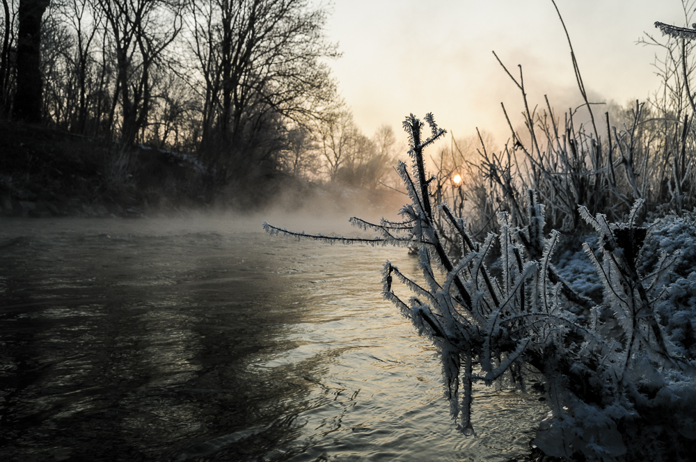 Saukalt, morgens an der AMper