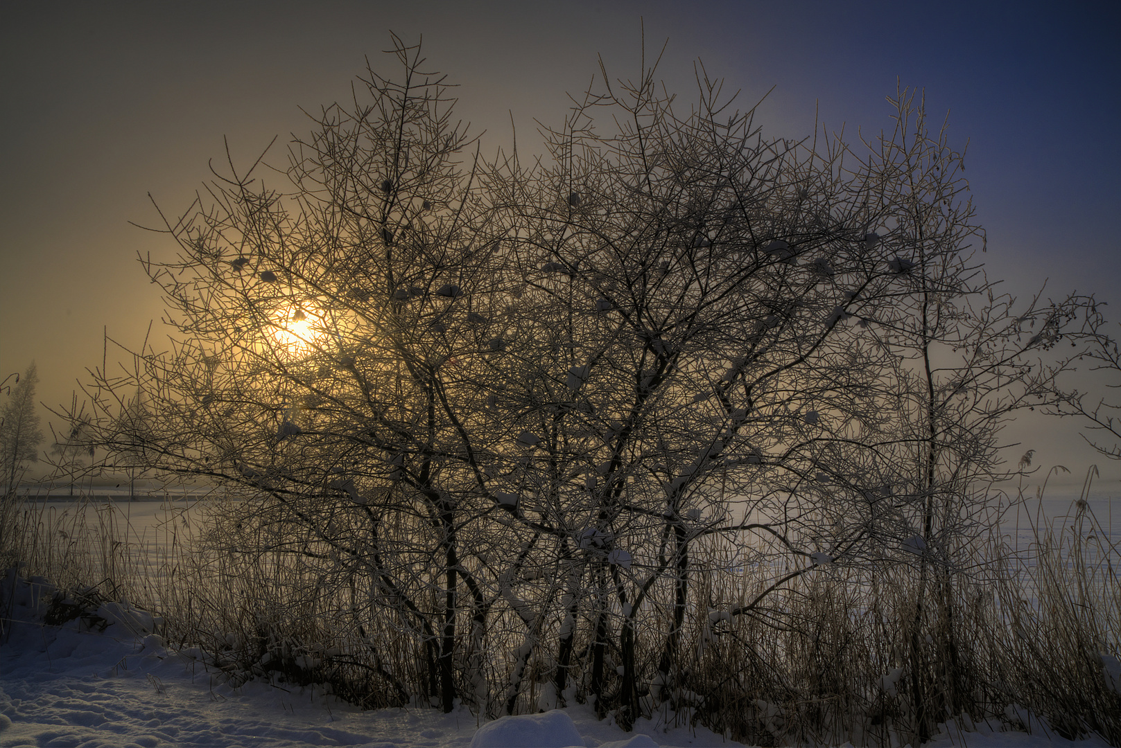 saukalter Sonnenaufgang