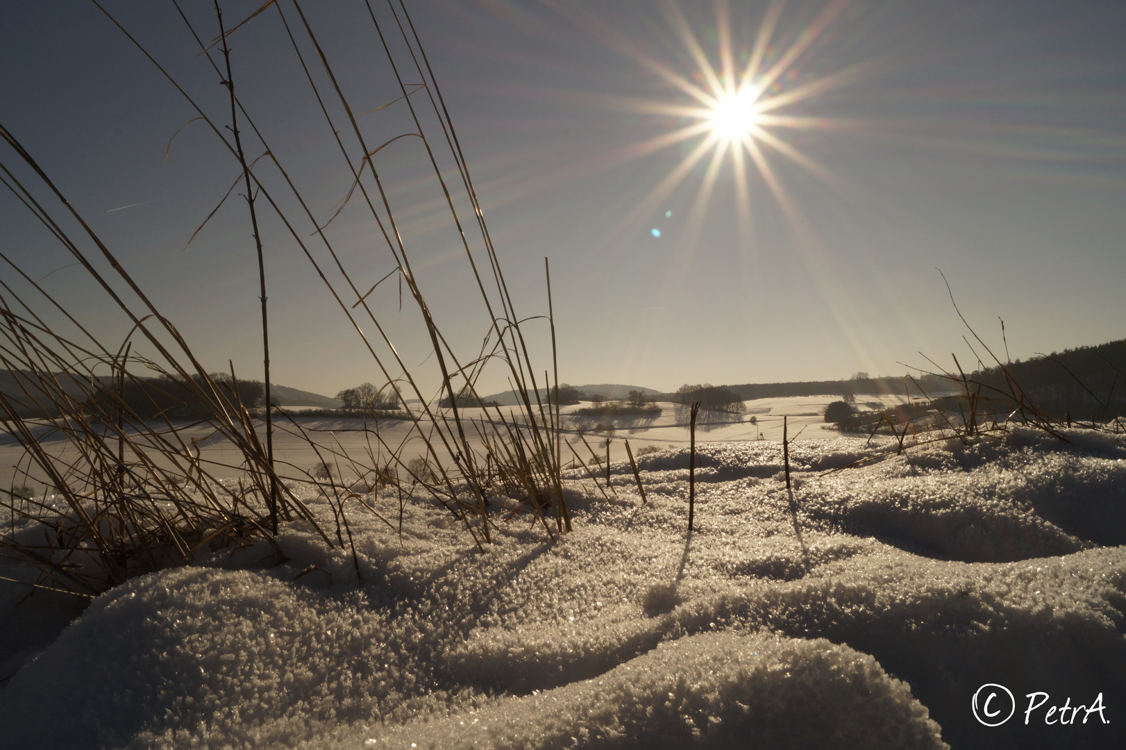 Saulerland Winterlandschaft