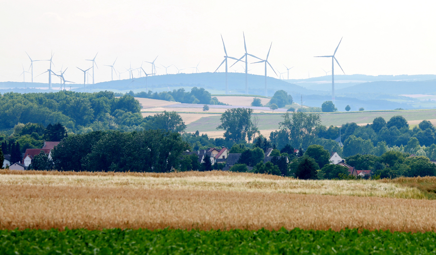 Saulheim Juni 2 2018 003