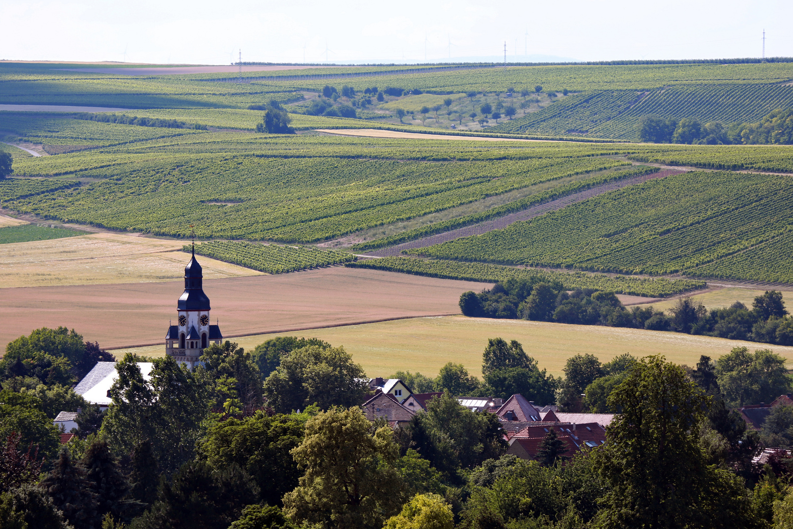 Saulheim Juni 2018 011