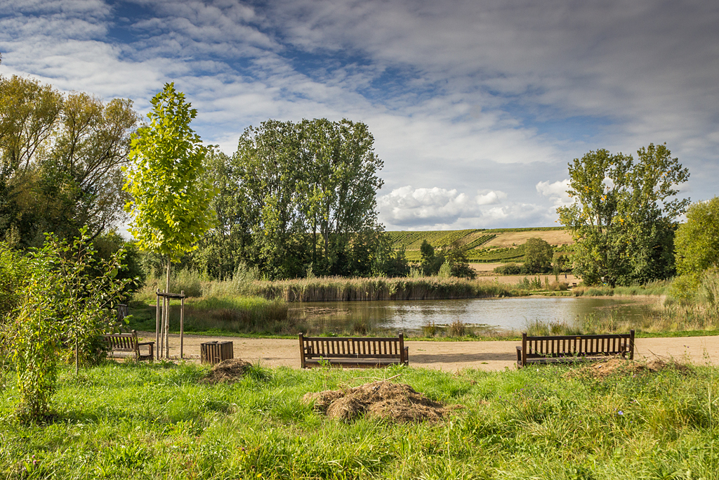 Saulheimer Aufstaubecken