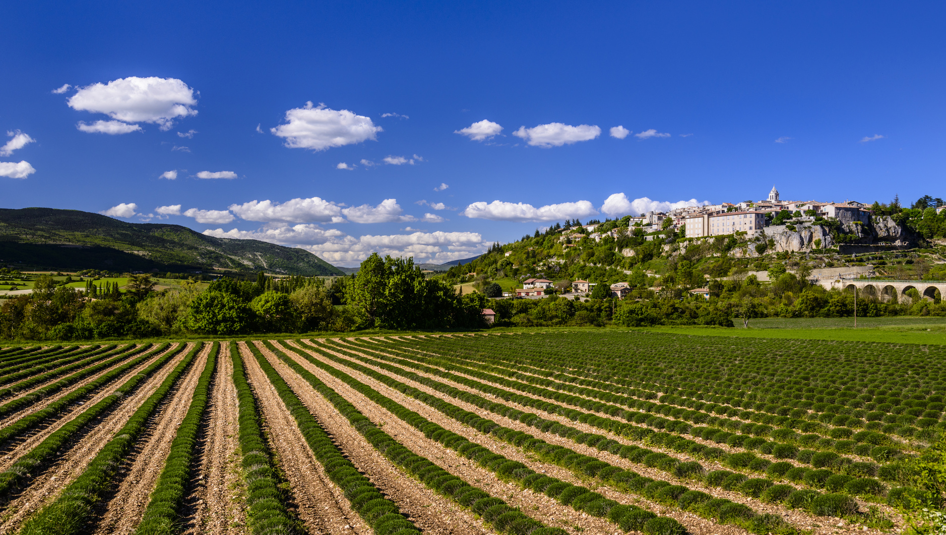 Sault, Vaucluse, Provence, Frankreich