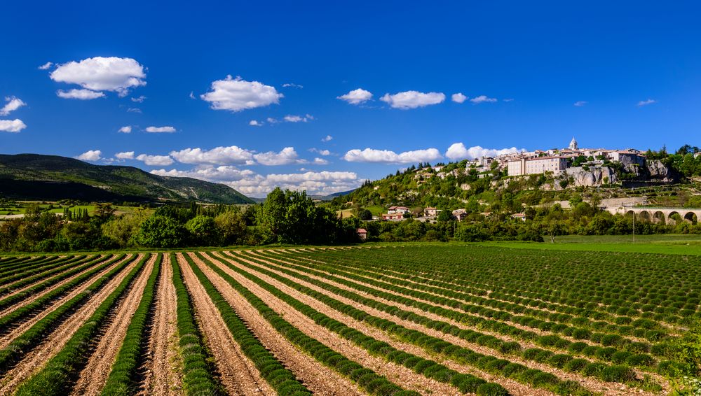 Sault, Vaucluse, Provence, Frankreich