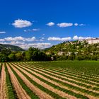 Sault, Vaucluse, Provence, Frankreich