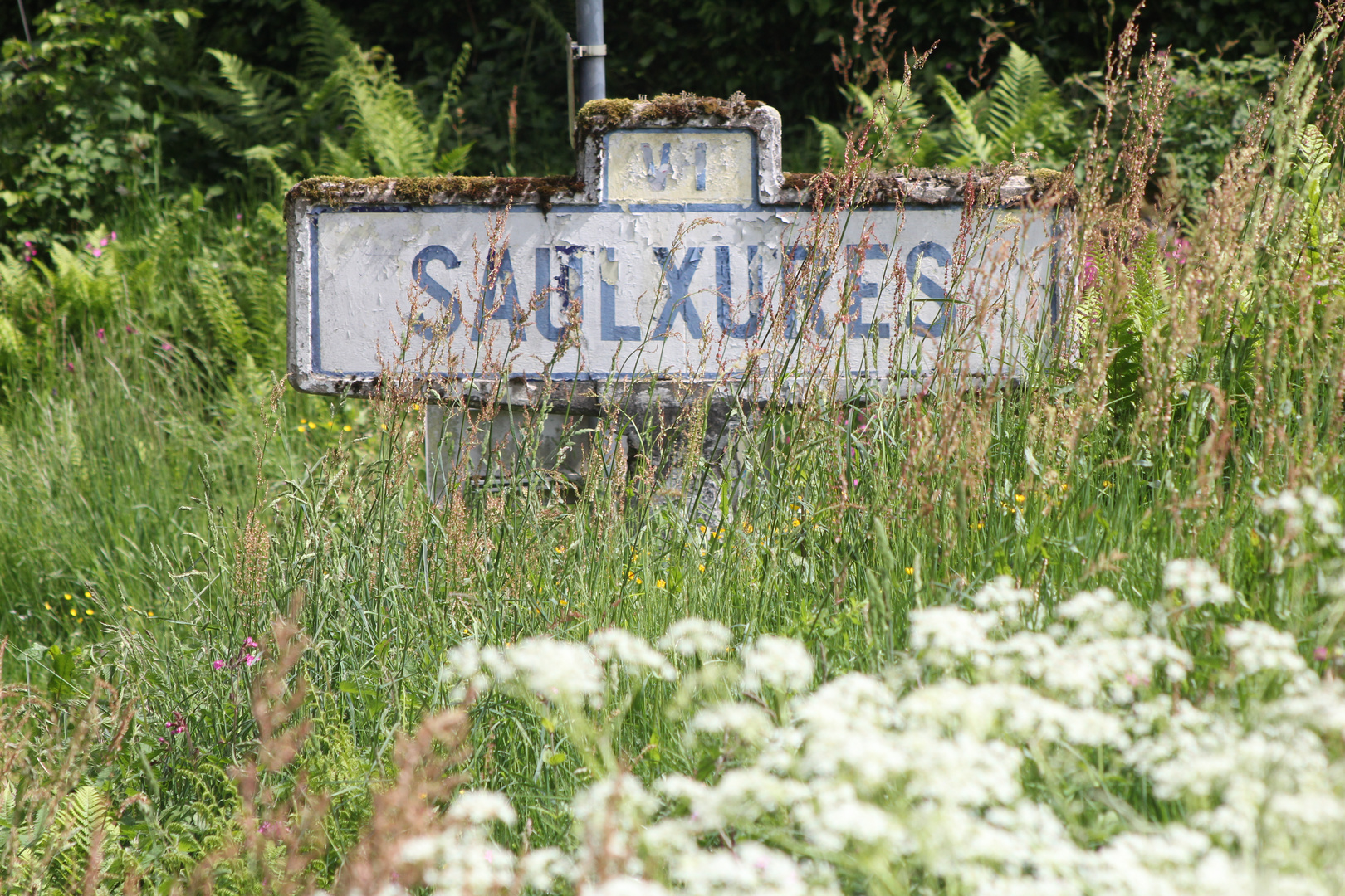 Saulxures