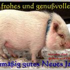 Saumäßige Festtagswünsche