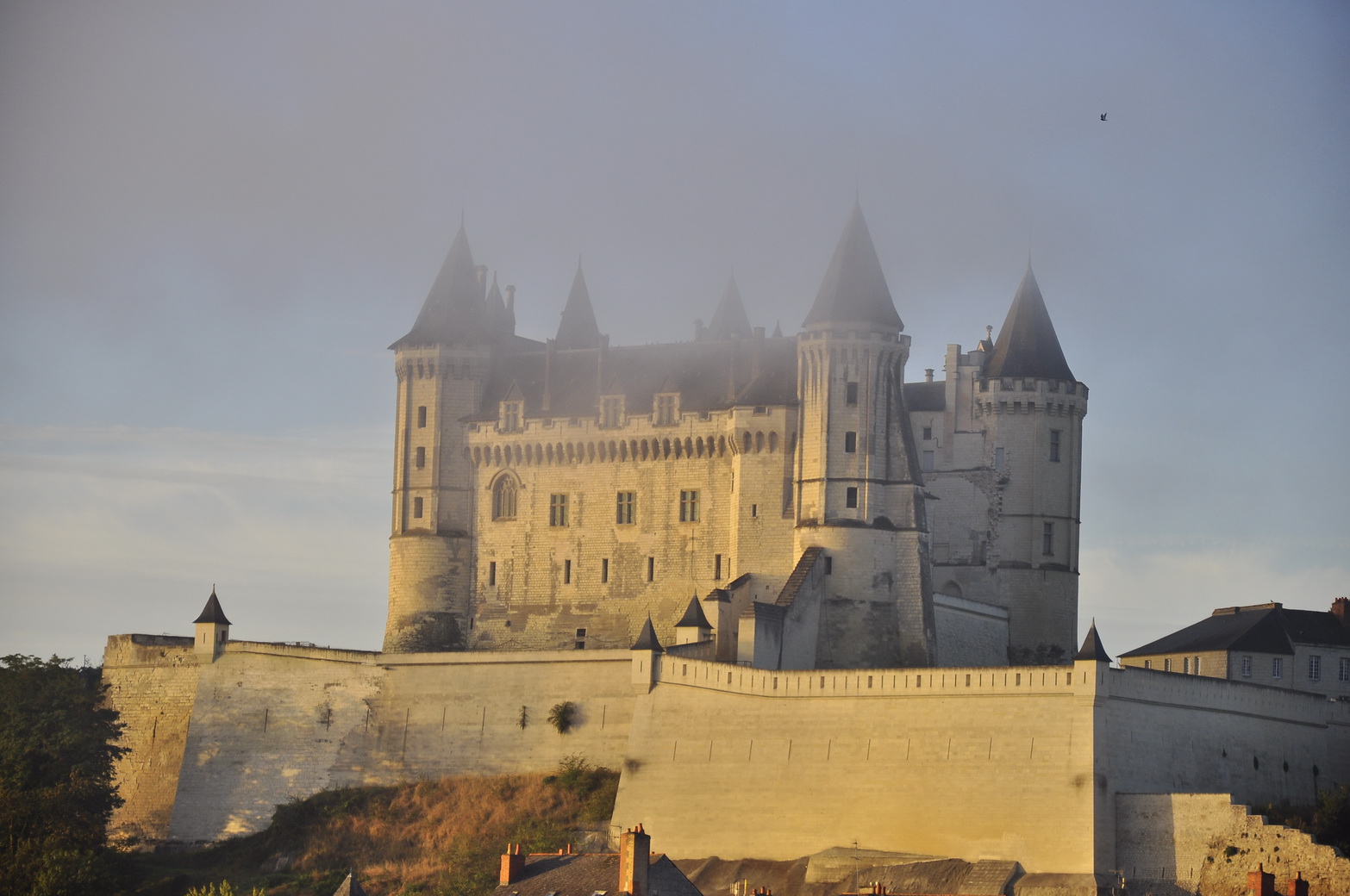 SAUMUR im Morgennebel