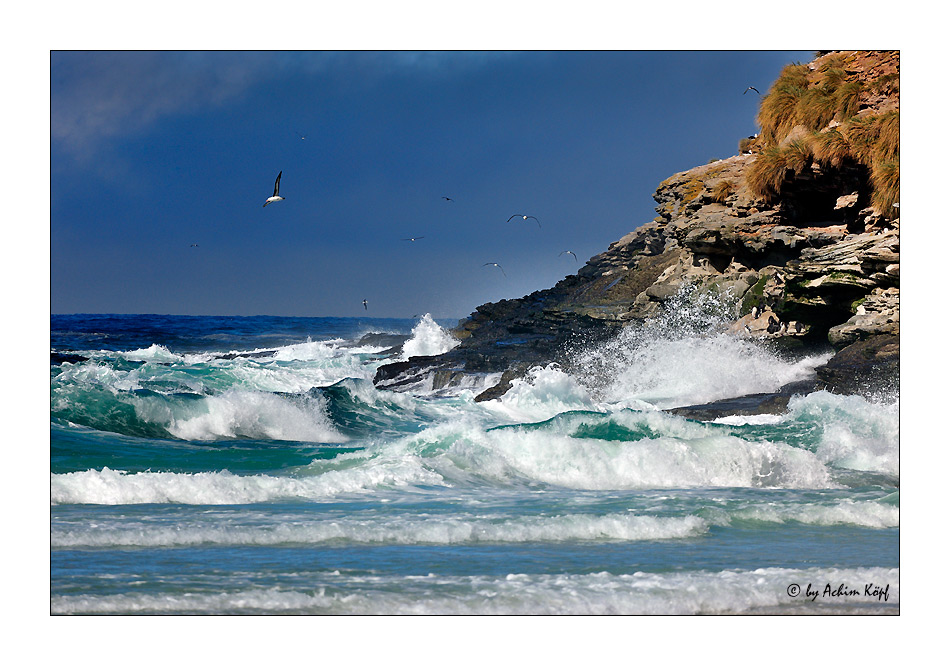 Saunders Island