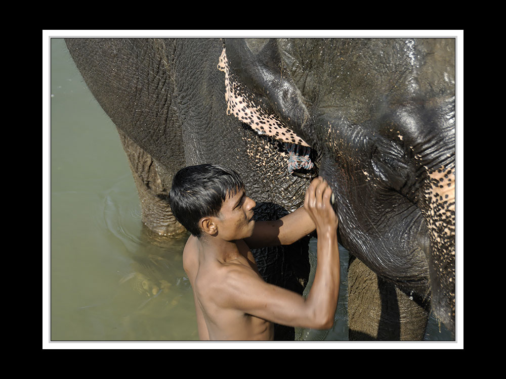 Sauraha-Chitwan 07